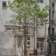 Illustration for article titled These post-apocalypse images of Hong Kong are actually real photos
